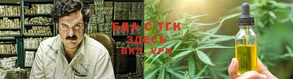 индика Карпинск
