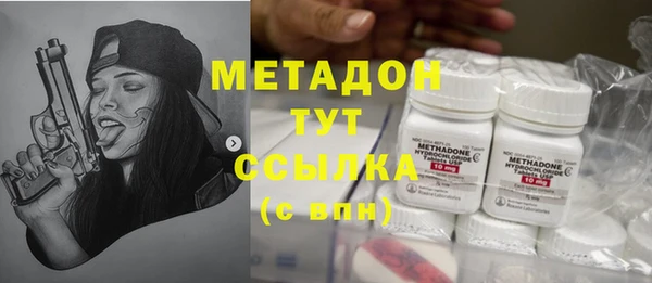 индика Карпинск