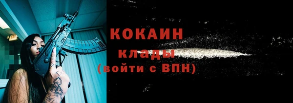 индика Карпинск