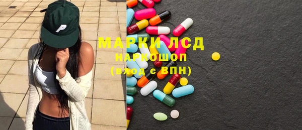 индика Карпинск
